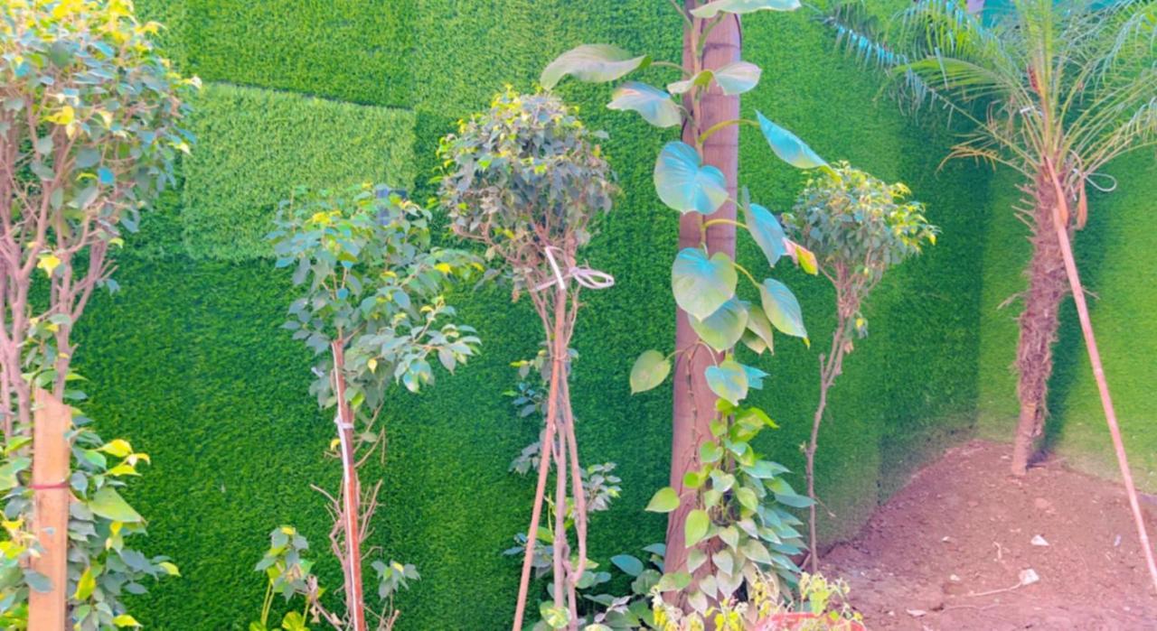 City View With Garden -5 Mins Walk From Golden Temple Amritsar Luaran gambar